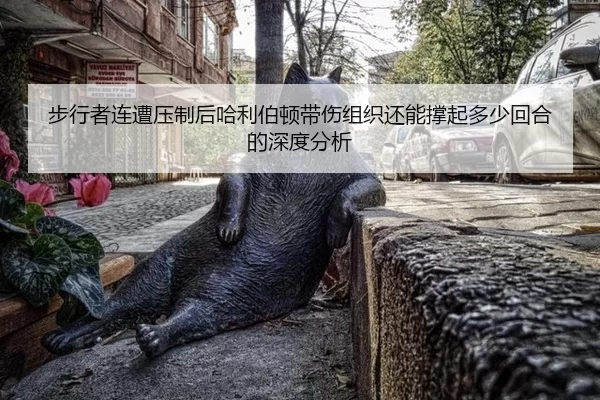 bu-xing-zhe-lian-zao-ya-zhi-hou-ha-li-bo-dun-dai-shang-zu-zhi-hai-neng-cheng-qi-duo-shao-hui-he-de-shen-du-fen-xi-2-668.jpg